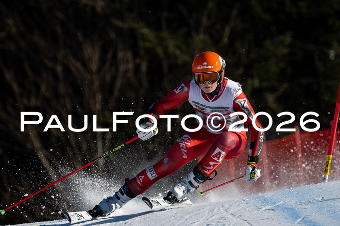 FIS Herren, RS Maria Alm 14.01.2026