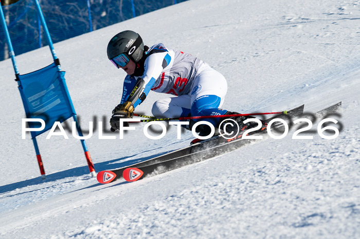 FIS Herren, RS Maria Alm 14.01.2026