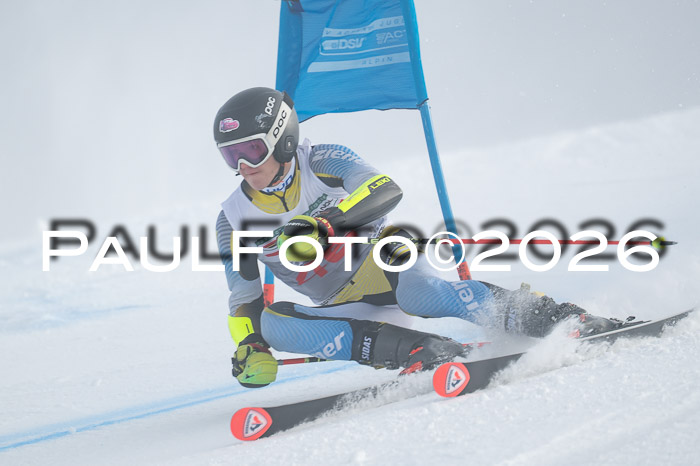 FIS Herren, RS Maria Alm 14.01.2026