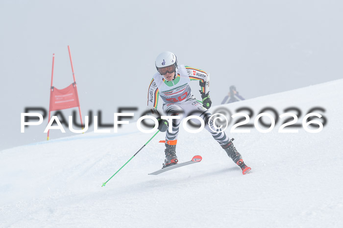 FIS Herren, RS Maria Alm 14.01.2026