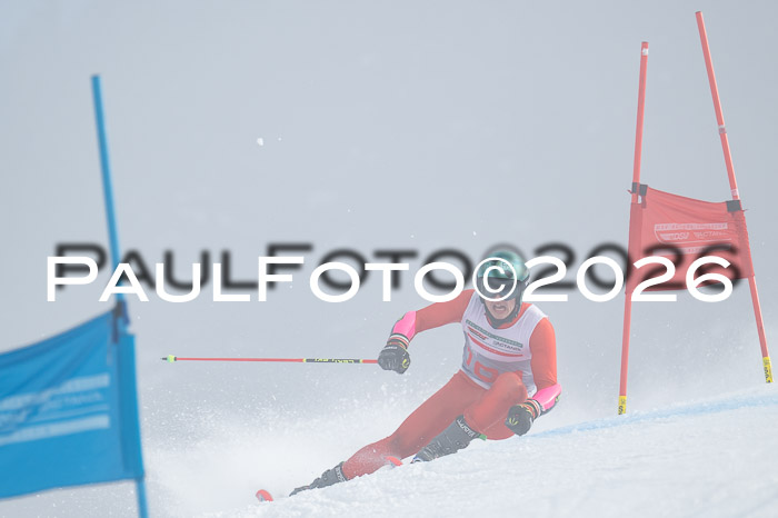 FIS Herren, RS Maria Alm 14.01.2026