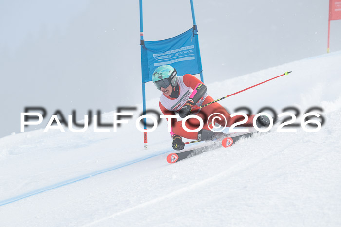 FIS Herren, RS Maria Alm 14.01.2026