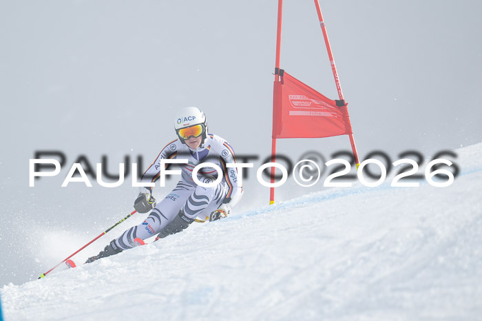 FIS Herren, RS Maria Alm 14.01.2026