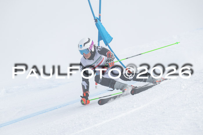FIS Herren, RS Maria Alm 14.01.2026
