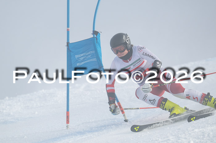 FIS Herren, RS Maria Alm 14.01.2026