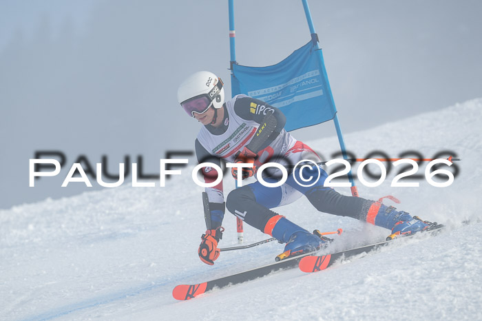 FIS Herren, RS Maria Alm 14.01.2026