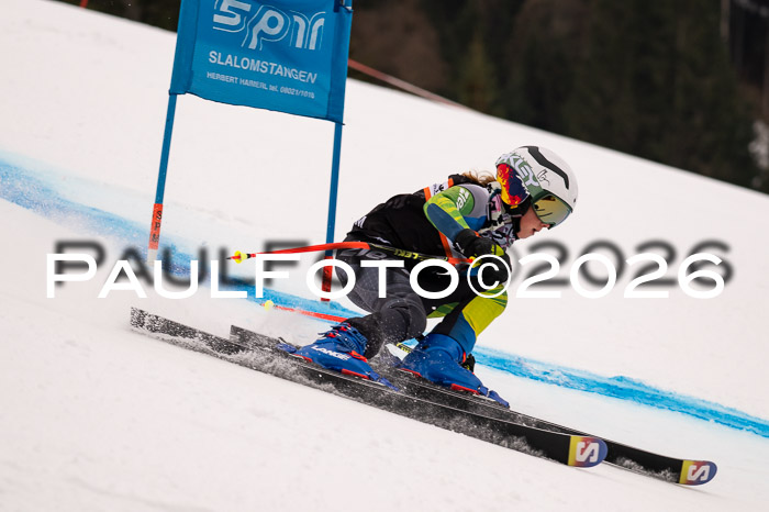 Ziener Kids-Cross Reg 4, M/OL U12 Race Cross 2026