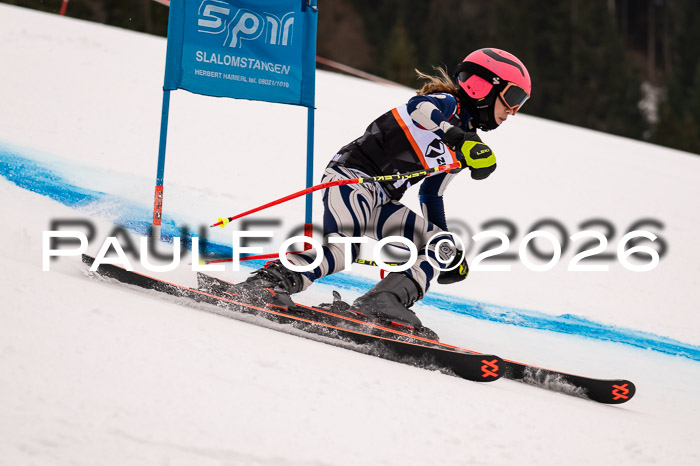 Ziener Kids-Cross Reg 4, M/OL U12 Race Cross 2026