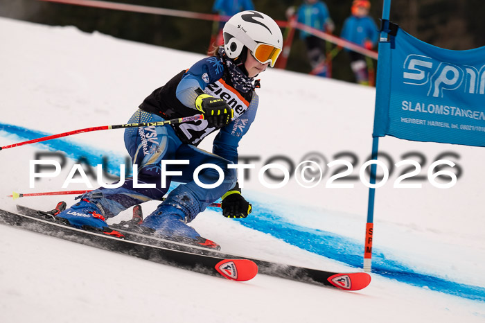 Ziener Kids-Cross Reg 4, M/OL U12 Race Cross 2026