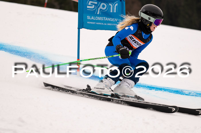 Ziener Kids-Cross Reg 4, M/OL U12 Race Cross 2026