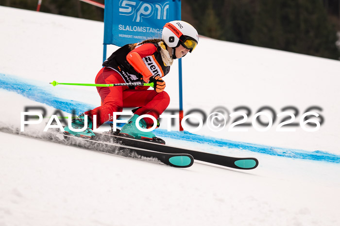 Ziener Kids-Cross Reg 4, M/OL U12 Race Cross 2026