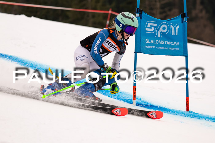 Ziener Kids-Cross Reg 4, M/OL U12 Race Cross 2026