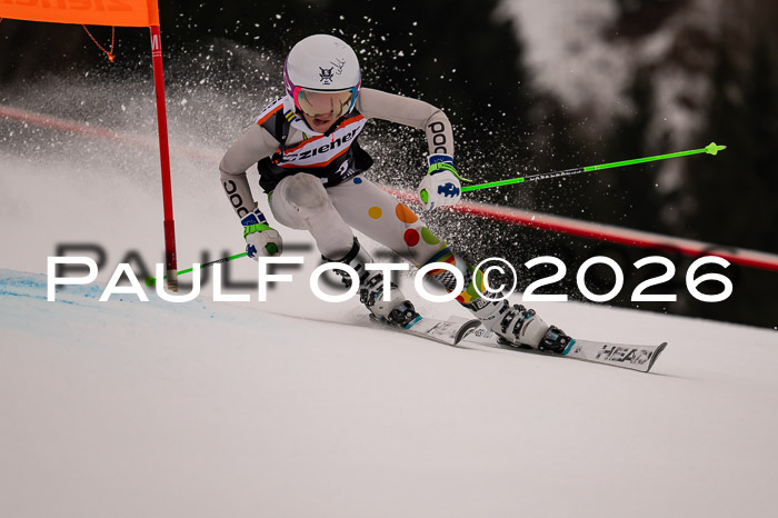 Ziener Kids-Cross Reg 4, M/OL U12 Race Cross 2026