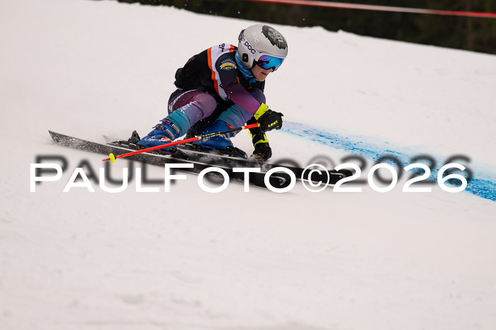 Ziener Kids-Cross Reg 4, M/OL U12 Race Cross 2026