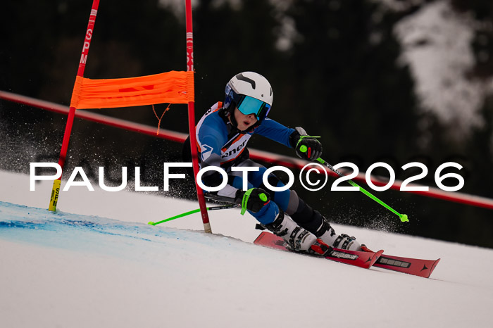 Ziener Kids-Cross Reg 4, M/OL U12 Race Cross 2026