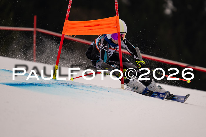 Ziener Kids-Cross Reg 4, M/OL U12 Race Cross 2026