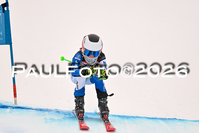 Ziener Kids-Cross Reg 4, M/OL U12 Race Cross 2026