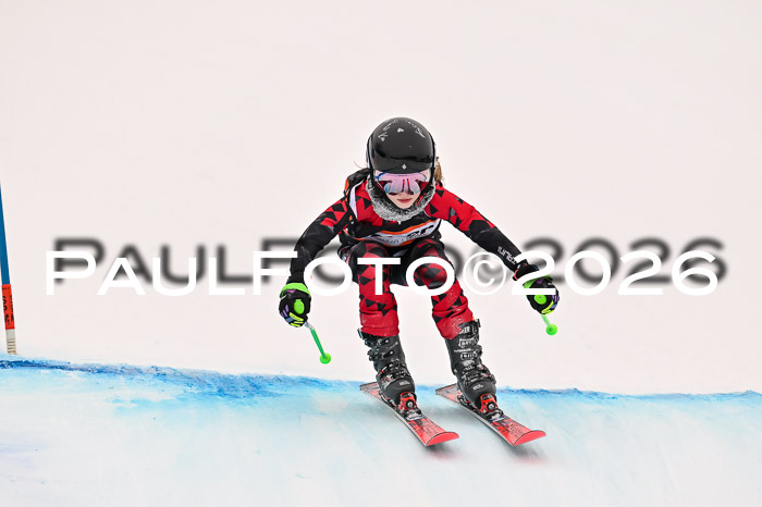 Ziener Kids-Cross Reg 4, M/OL U12 Race Cross 2026