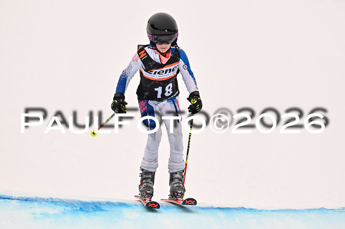 Ziener Kids-Cross Reg 4, M/OL U12 Race Cross 2026
