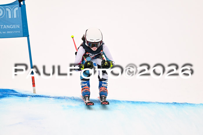 Ziener Kids-Cross Reg 4, M/OL U12 Race Cross 2026