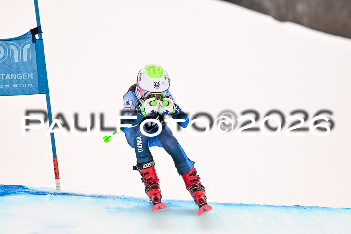 Ziener Kids-Cross Reg 4, M/OL U12 Race Cross 2026