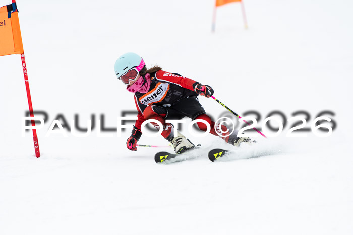 Ziener Cup 2 RS kühtai, 24.01.2026