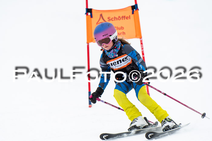 Ziener Cup 2 RS kühtai, 24.01.2026