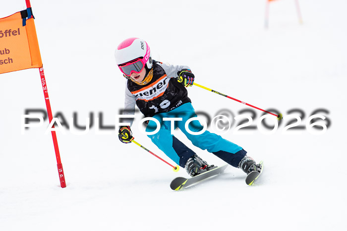 Ziener Cup 2 RS kühtai, 24.01.2026