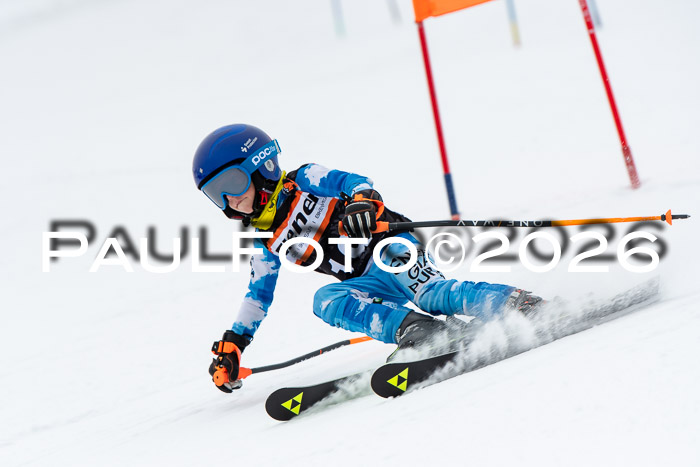 Ziener Cup 2 RS kühtai, 24.01.2026