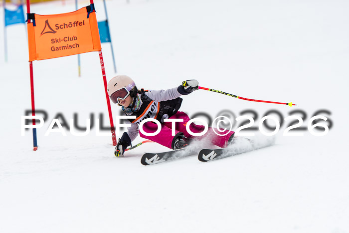 Ziener Cup 2 RS kühtai, 24.01.2026