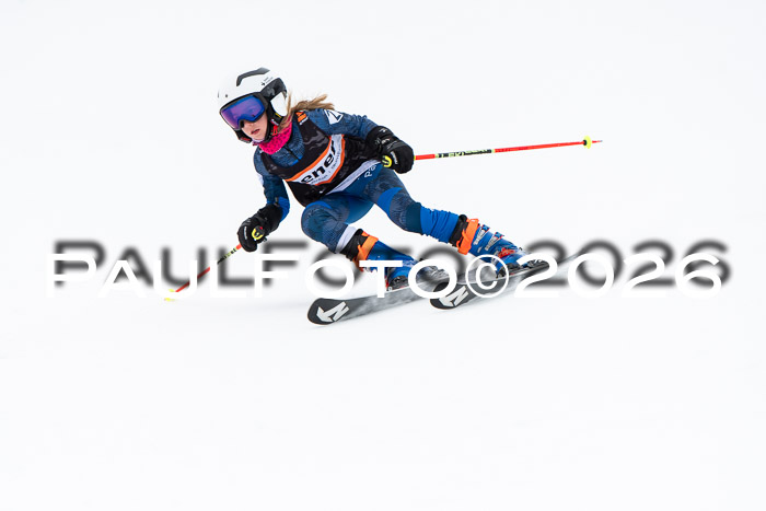 Ziener Cup 2 RS kühtai, 24.01.2026