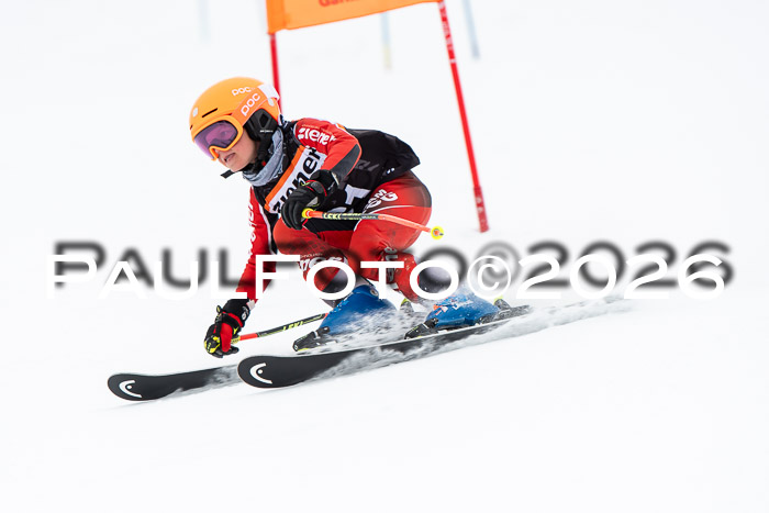 Ziener Cup 2 RS kühtai, 24.01.2026