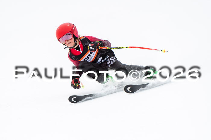 Ziener Cup 2 RS kühtai, 24.01.2026