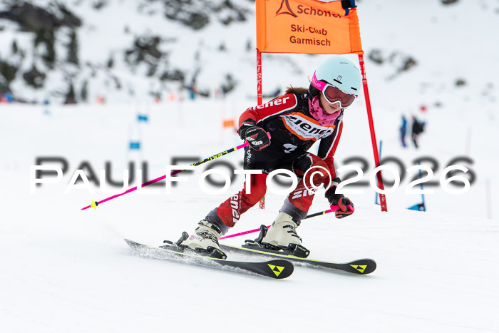 Ziener Cup 2 RS kühtai, 24.01.2026