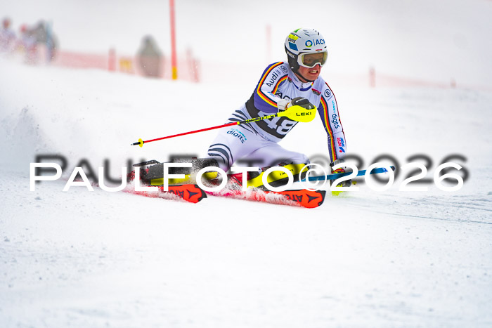 FIS Slalom Damen + Herren, 25.01.26