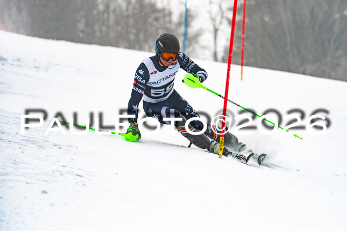 FIS Slalom Damen + Herren, 25.01.26