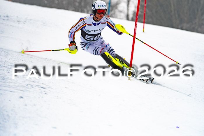 FIS Slalom Damen + Herren, 25.01.26