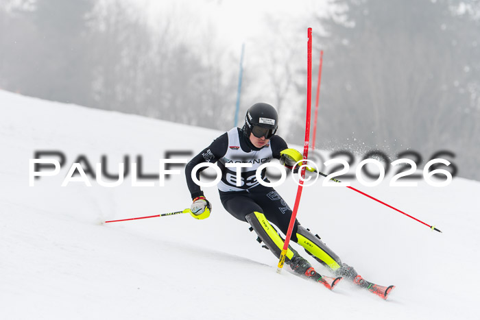 FIS Slalom Damen + Herren, 25.01.26