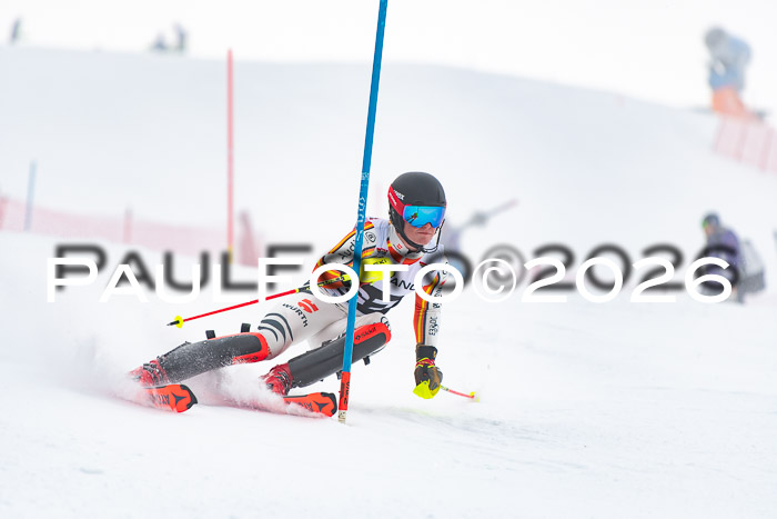 FIS Slalom Damen + Herren, 25.01.26
