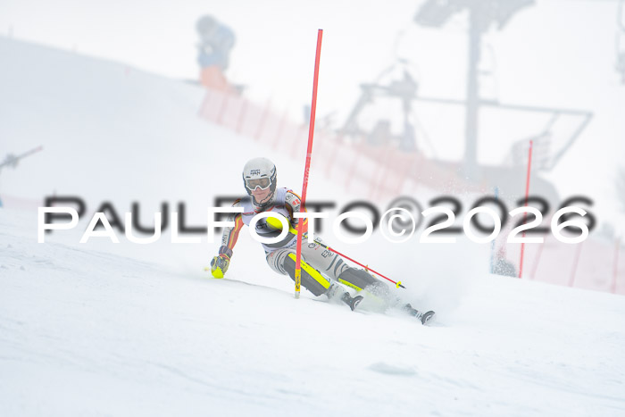 FIS Slalom Damen + Herren, 25.01.26