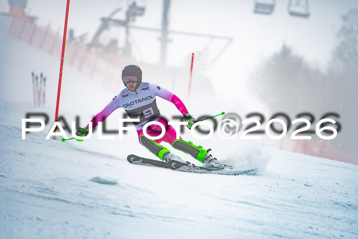 FIS Slalom Damen + Herren, 25.01.26
