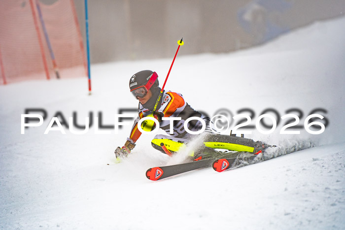 FIS Slalom Damen + Herren, 25.01.26