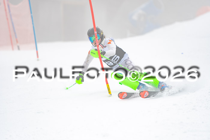 FIS Slalom Damen + Herren, 25.01.26