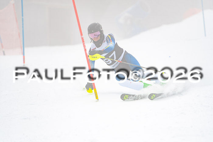 FIS Slalom Damen + Herren, 25.01.26