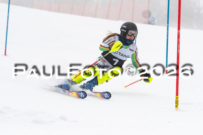 FIS Slalom Damen + Herren, 25.01.26