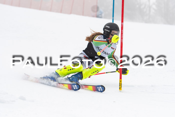 FIS Slalom Damen + Herren, 25.01.26