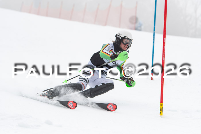 FIS Slalom Damen + Herren, 25.01.26