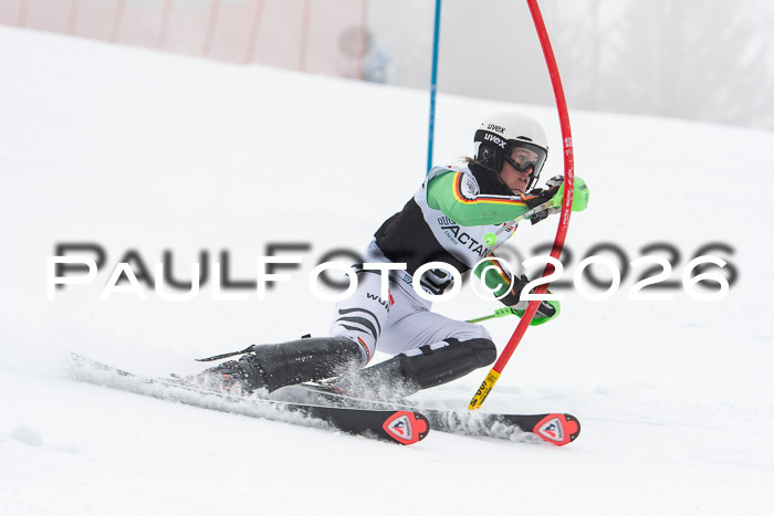 FIS Slalom Damen + Herren, 25.01.26
