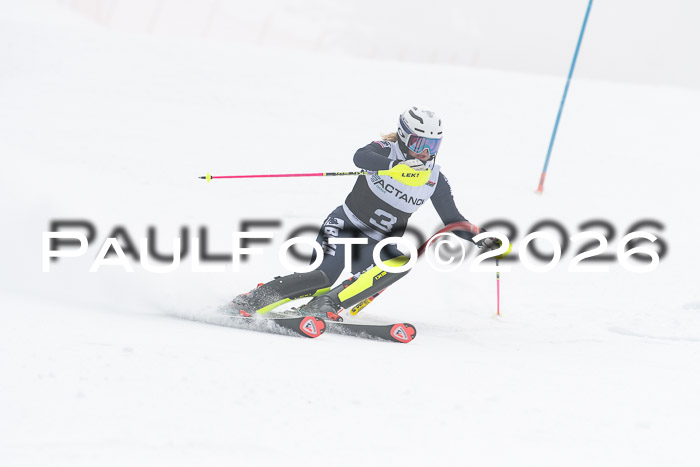 FIS Slalom Damen + Herren, 25.01.26