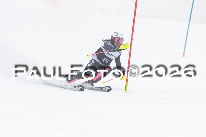 FIS Slalom Damen + Herren, 25.01.26